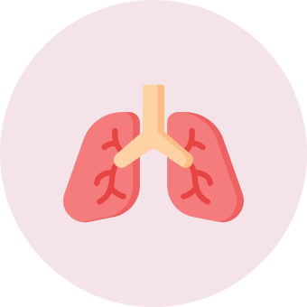 Lungs